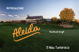 Aleida Font: Elevating Small Business Brand Identity