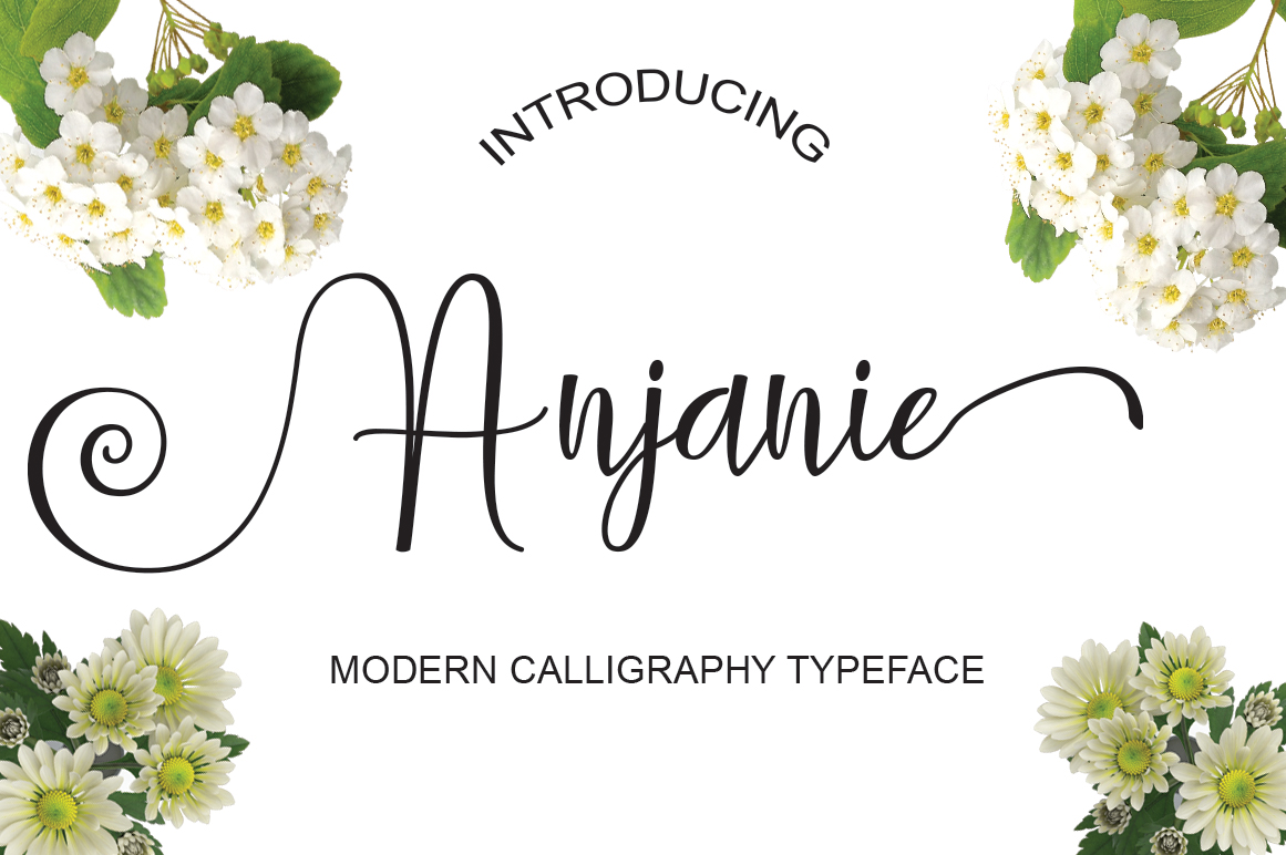 Anjanie Font: Elevating Small Business Branding