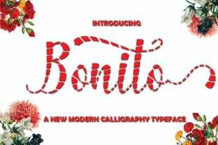 Bonito Font: A Playful Script for Editorial Design