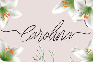 Carolina Font: A Script Typeface for Digital Campaigns