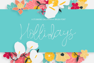 Hollidays Font: A Thin Script for Organic Branding
