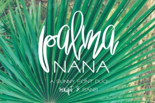 Palma Nana Font Duo for Small Business Branding