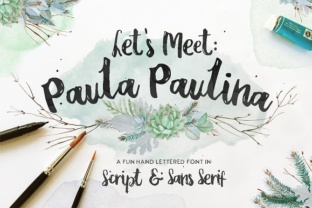 Paula Paulina Font: Elevating Digital Brand Identity