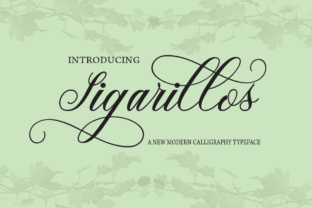 Sigarillos Font: Elegant Script for Business Branding