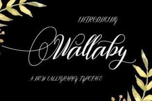 Wallaby Font: Handmade Script for Modern Web Design